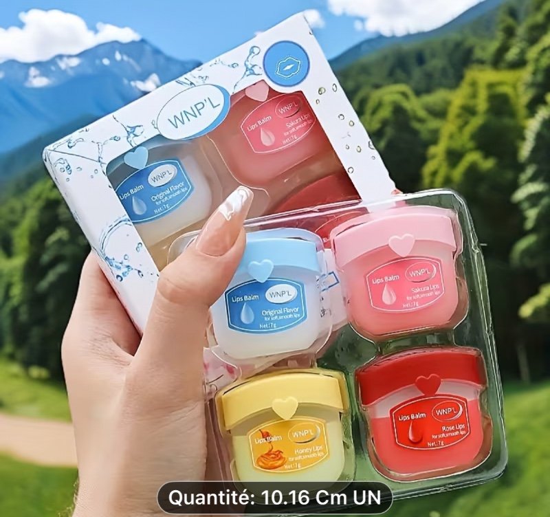 Coffret Cadeau de 4 Rouges à Lèvres, Quatre Types de Gloss à Lèvres Parfumés aux Fruits, Baume à Lèvres Primant, Rouge à Lèvres Incolore, Cadeau de Fête, Cadeau de Noël pour Femmes, Cadeaux Souvenirs, Masque à Lèvres Hydratant et Nourrissant Longue Durée