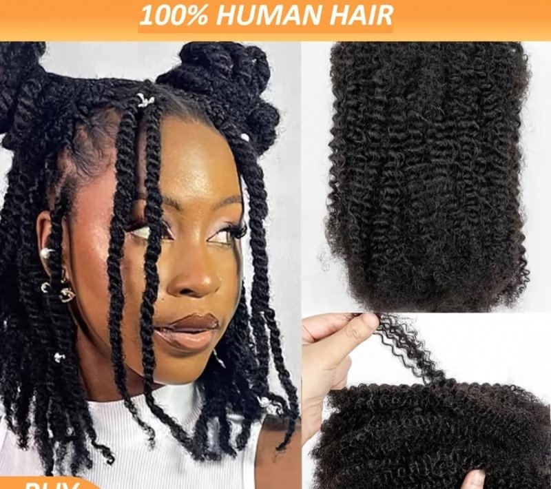 Cheveux Humains 100% Naturels en Vrac pour Dreadlocks et Tresses - Extension à Torsion Printanière - 1 Pièce - Afro Bouclés Ondulés - Couleur Noire Naturelle